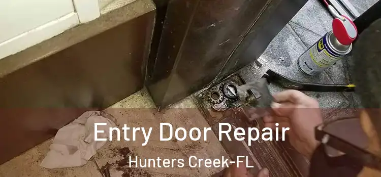 Entry Door Repair Hunters Creek-FL